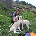 ���� ������, �������, 49 ��� - ��������� 18 ������ 2017 � ������ ������ ��������