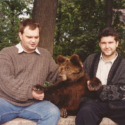 ���� �����, �����-���������, 50 ��� - ��������� 29 �������� 2017