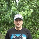 ���� �����, ������������ - ��������� 27 ���� 2017 � ������ ���� ����������