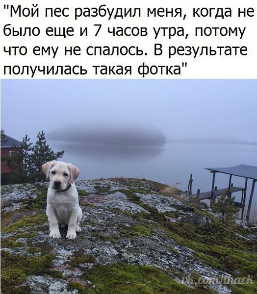  - 3  2017  03:32