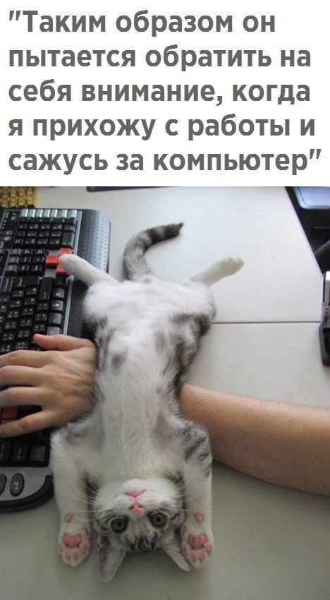   - 12  2017  13:04