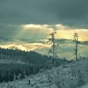 ���� ������, ������������ - ��������� 8 ������ 2017 � ������ ������� �������