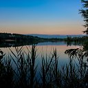  , , 75  -  29  2017   Ҹ   2017