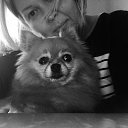 ���� Yushka Ya, �����-��������� - ��������� 22 ��� 2017 � ������ ���� ����������