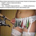 ���� �����, ��������� - ��������� 23 ������ 2017 � ������ ������ ��������
