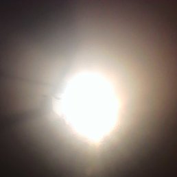 �, Delmas, 85 ���