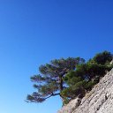 ��� ���� . �� ������� ���������� ������