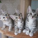 ���� E����, �����-���������, 57 ��� - ��������� 23 ���� 2017 � ������ ������ ��������