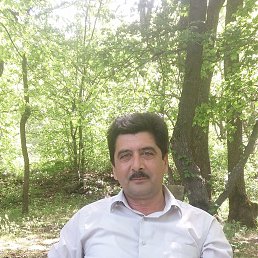 Amir, ����, 61 ���