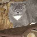 ���� �����, ��������� - ��������� 2 ���� 2017 � ������ ���� ����������