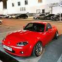 ���� ������, ������, 39 ��� - ��������� 14 ������ 2017 � ������ ���� ����������