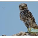 ���� Jack, ������, 44 ���� - ��������� 6 ���� 2017 � ������ ���� ����������