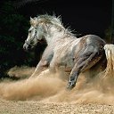 ���� ������, �����������, 75 ��� - ��������� 20 ���� 2017 � ������ ����Ȼ