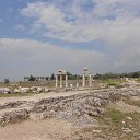  , -, 42  -  8  2017   , 2017 ()