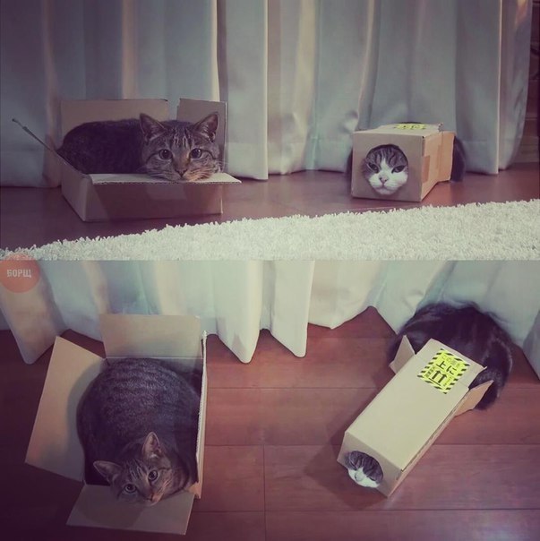    : 1.  . 2.    -  .