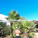 ���� Oleg, ������, 43 ���� - ��������� 30 �������� 2017 � ������ ���� ����������