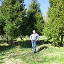 ���� ��������, ������ - ��������� 29 ������� 2017 � ������ ���� ����������