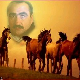 ���� Dilgam, ����, 62 ���� - ��������� 25 �������� 2017