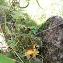 ���� Vyacheslav, �����, 47 ��� - ��������� 10 ������� 2017 � ������ ������ ��������