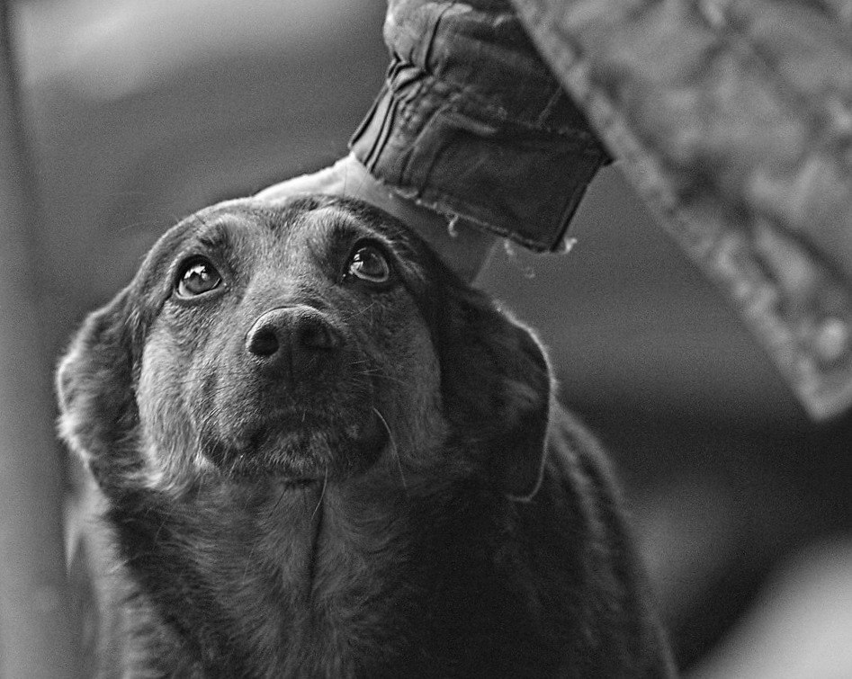 ���� - 23 �������� 2017 � 23:44 - 5