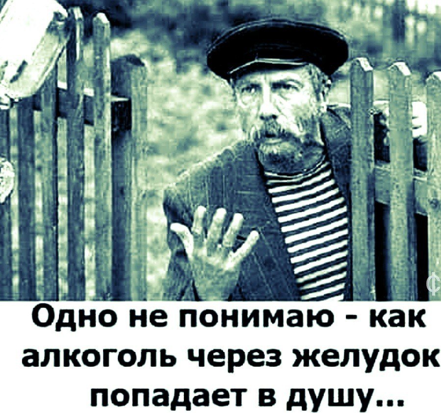  - 4  2017  08:47