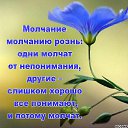 ���� ���, �����-��������� - ��������� 21 ���� 2017 � ������ ����