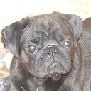 ���� Alla, ������ - ��������� 6 �������� 2017 � ������ ���������