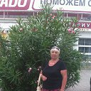 ���� ���������, ���������, 60 ��� - ��������� 5 �������� 2017 � ������ ���� ����������