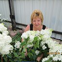 ���� �����, �����, 64 ���� - ��������� 12 ������ 2017 � ������ ���� ����������