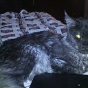 ���� ������, ������, 43 ���� - ��������� 2 ������� 2017