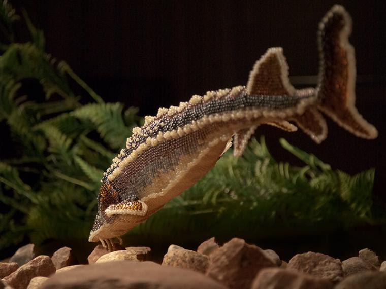     ,    , -.    ... - 13