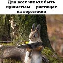 ����� ����� ���������. �� ������� ���� ����������