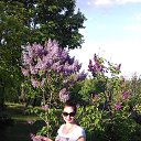 ���� ���������, ���������, 42 ���� - ��������� 12 ��� 2017 � ������ ���� ����������