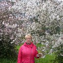 ���� �����, ���������� - ��������� 8 ���� 2017 � ������ ���� ����������