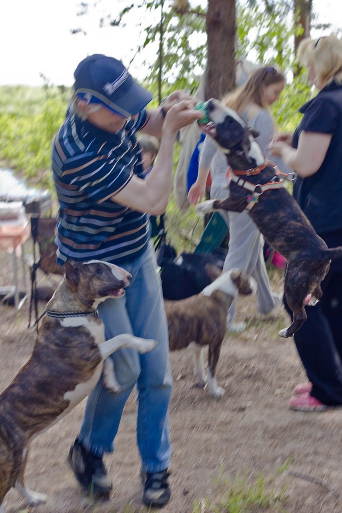 Буле-пикник 2017, СПБ, Ольгино)).Отлично провели время! Всем участникам спасибо, думаю ... - 4