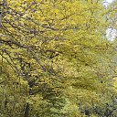 ���� ���������, ������ - ��������� 29 ������� 2017 � ������ ��������� �� ���� ����� 15 ������� 2017 ����