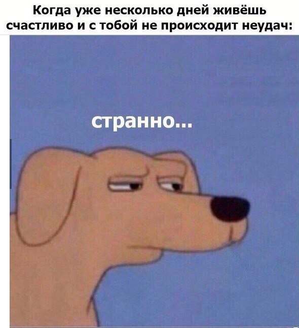    :D - 2  2017  00:01