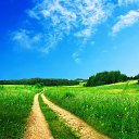 ���� ������, ������, 39 ��� - ��������� 31 ������� 2017 � ������ ���� ����������