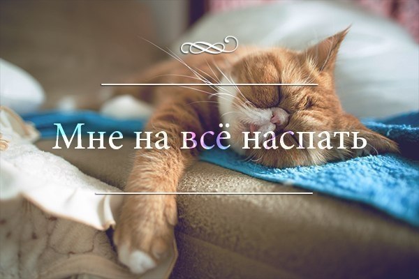 ��� �������� �������� - 13 �������� 2017 � 22:10