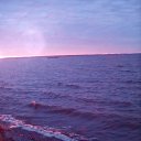 ���� �������, ������ - ��������� 28 ��� 2017 � ������ ������ ��������