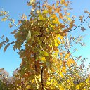 ���� �����, �����, 54 ���� - ��������� 18 ������ 2017 � ������ ���� ����������