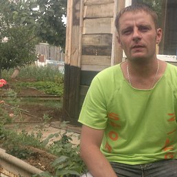 ���� ������, ������, 44 ���� - ��������� 29 ���� 2017