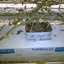 ���� �������, ���������������, 50 ��� - ��������� 15 ��� 2017 � ������ �������