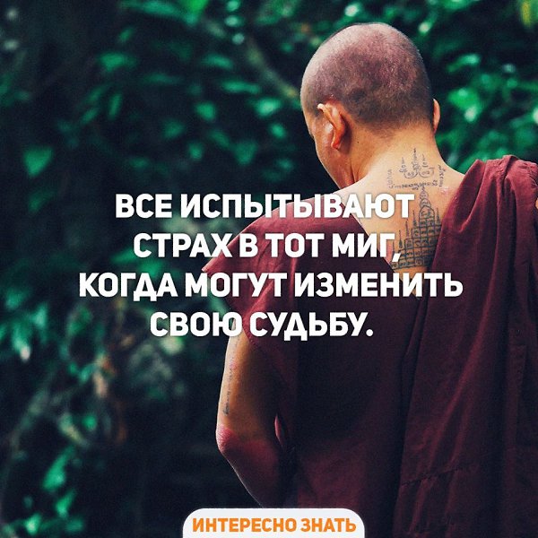 ����� � ������� - 26 ������� 2017 � 08:15