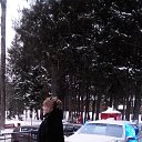 ���� ��������, ������ - ��������� 10 �������� 2017 � ������ ���� ����������