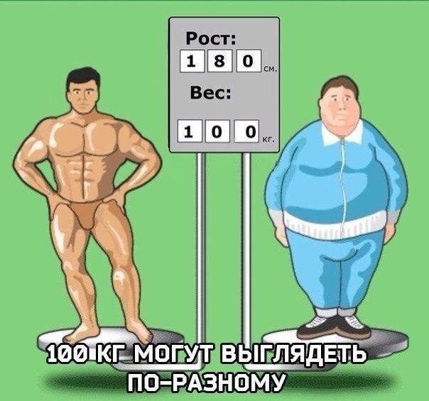 SportFeed - 24  2017  00:11