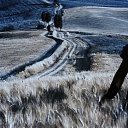 ���� Dido, ����, 45 ��� - ��������� 20 ���� 2017 � ������ �:)�