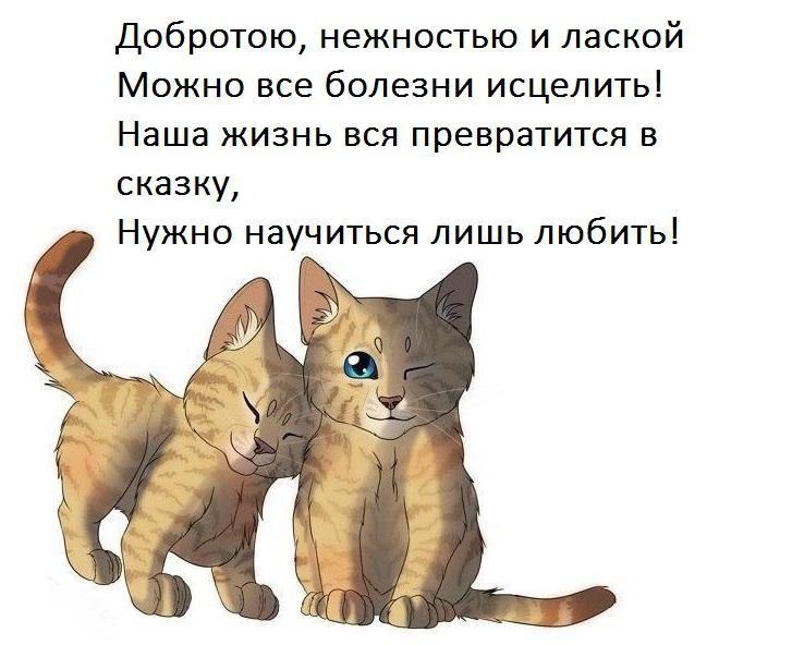  - 29  2017  17:02