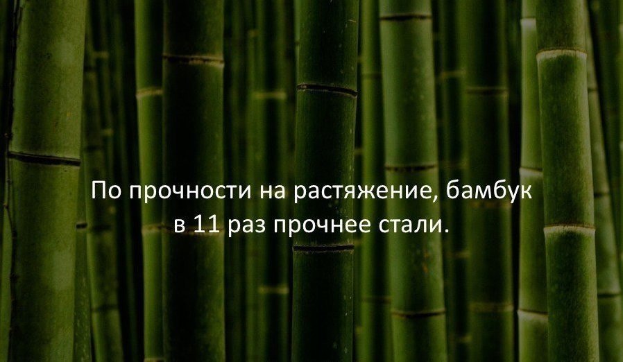   :    - 10  2017  18:36