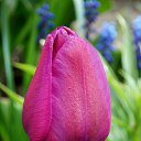 ��� 2017 �� ������� ���� ����������� (!) ��������)�